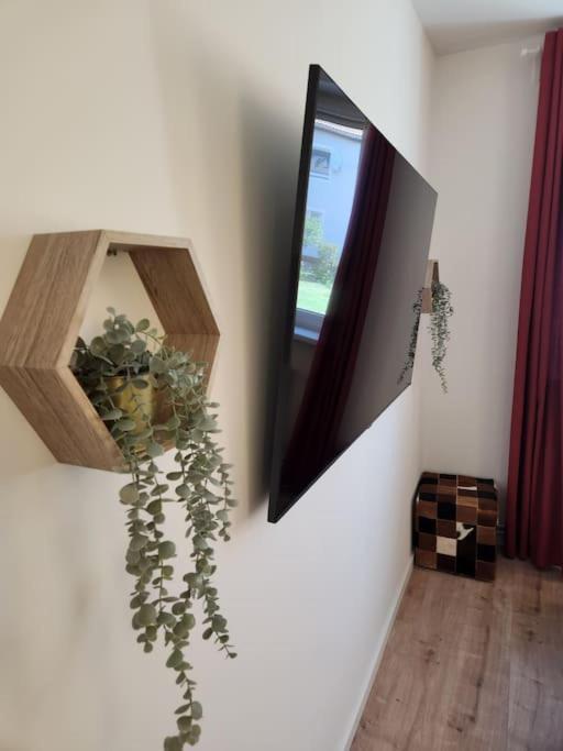 Baltic Garden Suite Dziwnów Kültér fotó
